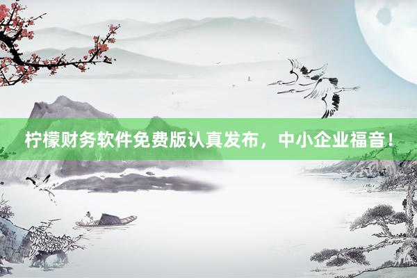 柠檬财务软件免费版认真发布，中小企业福音！
